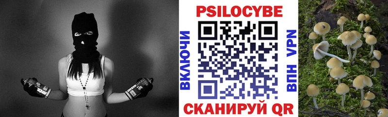 Псилоцибиновые грибы прущие грибы  Купить закладки  Билибино 